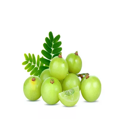 Amloki (Amla) ± 12 gm 250 gm