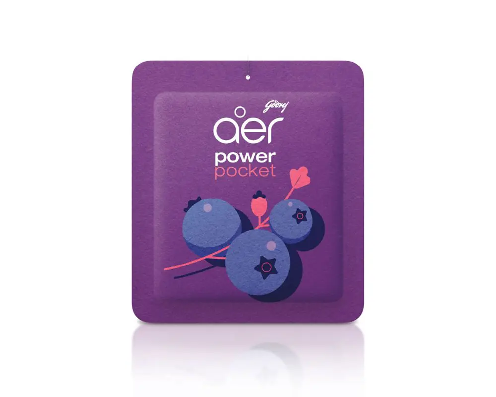 Godrej Aer Power Pocket Berry Rush 10gm