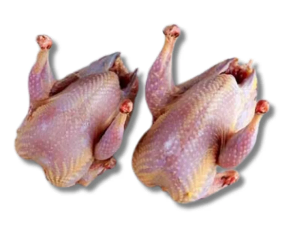 Kobutorer Mangsho (Pigeon Meat) Regular