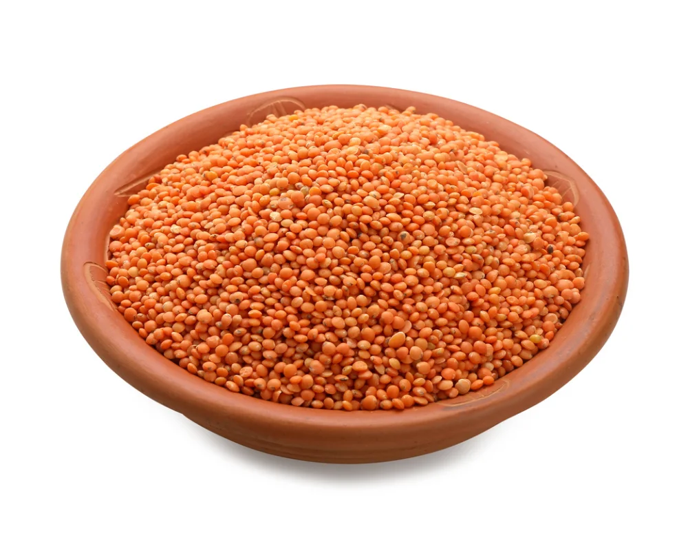 Moshur Dal Loose (Kangaroo) Premium Kg