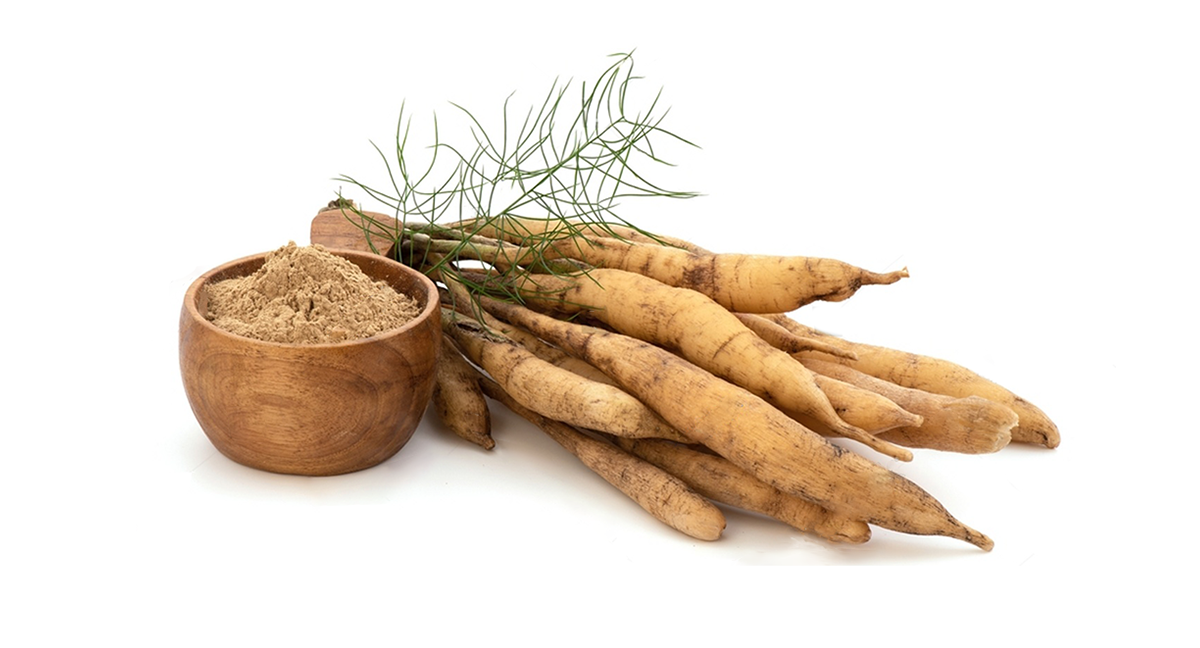 শিমুল মূল চূর্ণ ১০০ গ্রাম