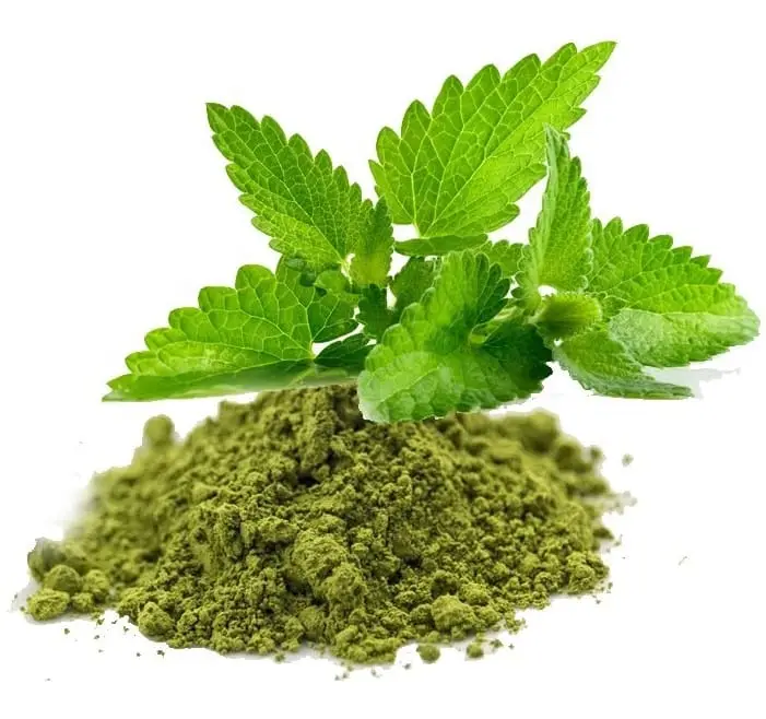 তুলশি পাতা চূর্ণ ১০০ গ্রাম